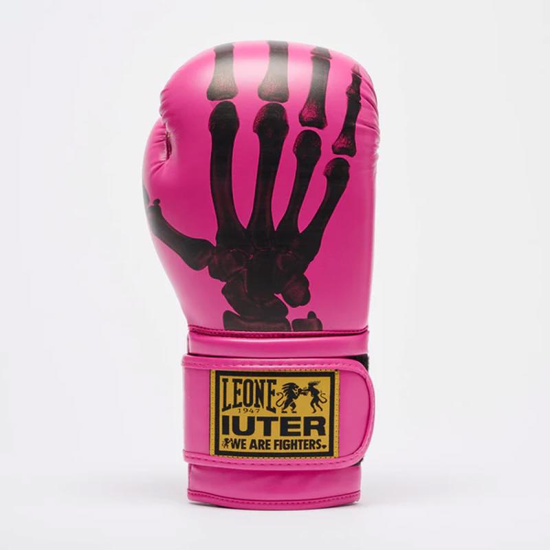 Leone  X IUTER GNTIA PuGAXIAS -fuxia